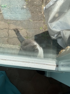 4��28��(��) ����J���񂩂�