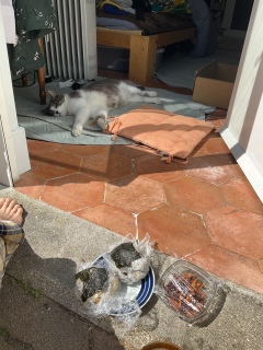 �ˁ[���͂������͂�