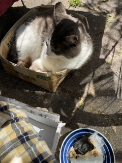 �߂��ɗ��Ă���܂���