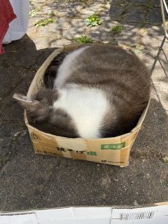 �吷�肤�܂���