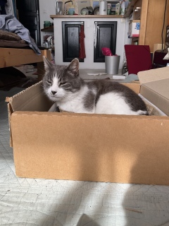 4��29��(��) �O�i�x�b�h