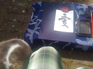 �ˁ[���͎d���̎B�e���@��