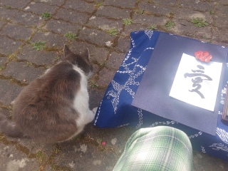 �ˁ[���͎d���̎B�e���@��