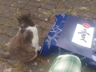 �ˁ[���͎d���̎B�e���@�O