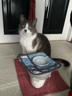 �����̂������