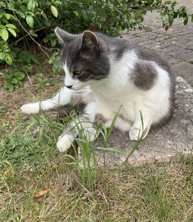 �������H