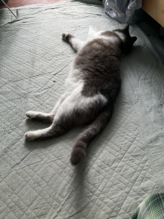 �������悭��������