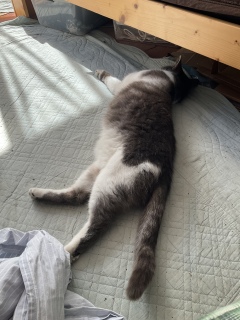 ���Ł[��