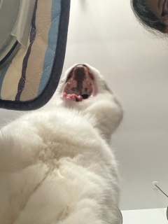 �C�ۂ̂�������