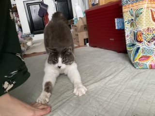���Q�A�J�m�F�A����A�L�с[�A�܂����Q