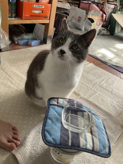 5��8��(��) ���͂悤�L���