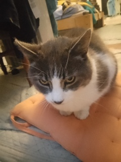 6���Ԃ����Ă��ꂽ��