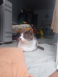 �����������ăt��