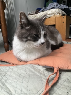 �������炵���ˁ[���ł�