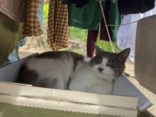 �Ă�˂�