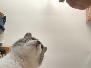 �C�ېH�ׂ悤�ˁ@��