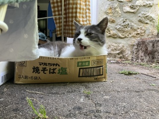 ���̌キ�����