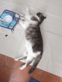 �̂т̂с[��