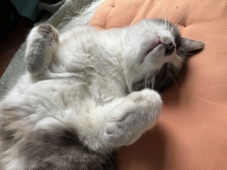 ���Ă�