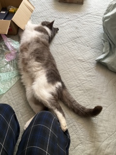 �����났�̔L���