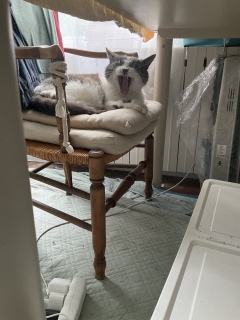 �~�j����ɎB��܂���