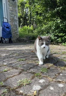 6��4��(��) �猩���ėǂ������[�I