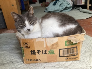 ���˂ނ̂Ƃ���