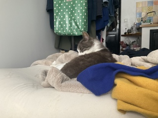 �ˁ[���͒����ŏo�Ύ���