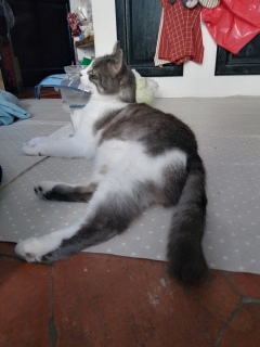 �̓�����肵�Ă��Ă��
