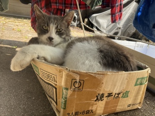 ���󕨂̉��͂ǂ���