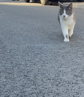�ˁ[���͏o�΂ł�