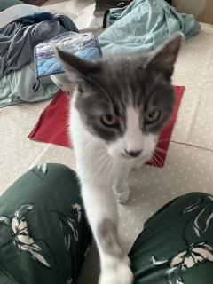 ���肿����