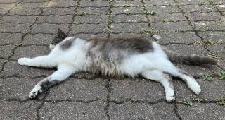 �������O�ł�