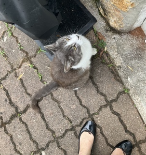 ����ŗ��Ă��炤