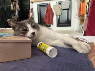 �ǂ��ł��܂���