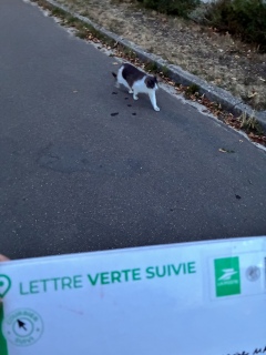 �����̕i���߂��̃|�X�g�ɓ���