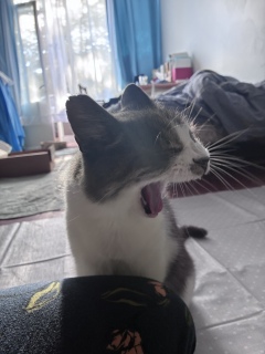 ���҂ɉ����Ă���܂���