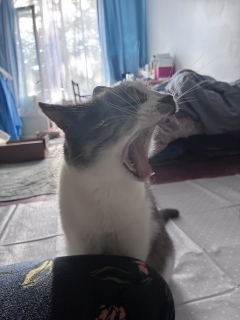 �΂������肪�Ƃ�