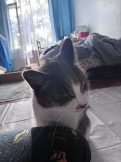 9��12��(�y) �L����9���N������