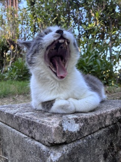 �����с@��
