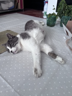 �L�єL�����ł�