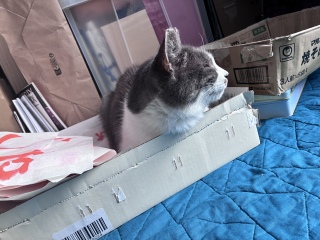 �ˁ[���̏��������͕̂~�ѕz