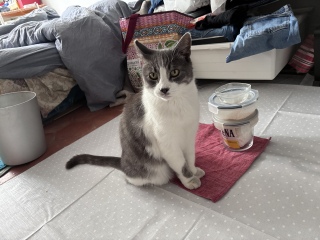 ����ɗ��Ă��ꂽ�񂩂�