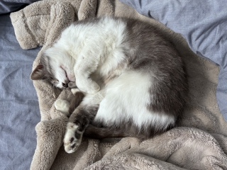 �ˁ[���͎d����