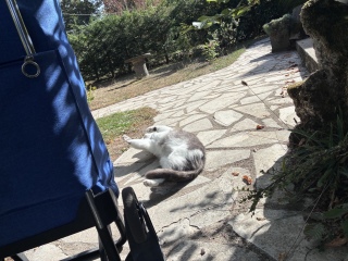9��19��(�y) �������ܔL���