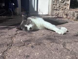 �H���ꂢ����