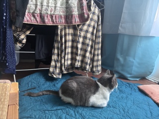 ���˂�30���ق�