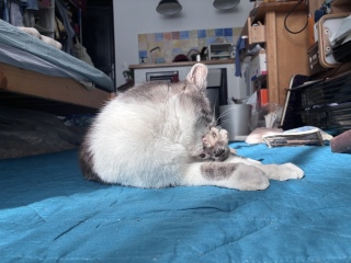 ���ݑ��J����
