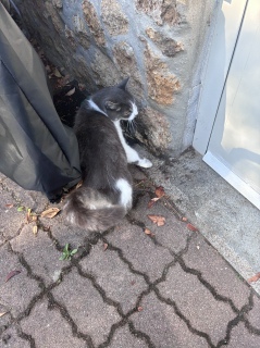 �ˁ[���͏o�΂ł�
