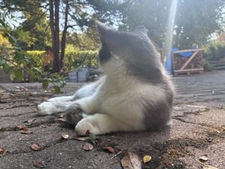 �ˁ[���͍����x��